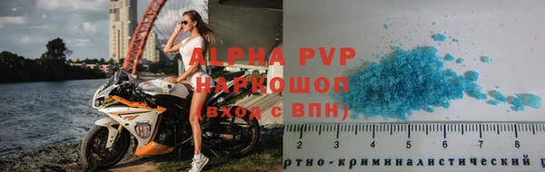 СК Новый Уренгой