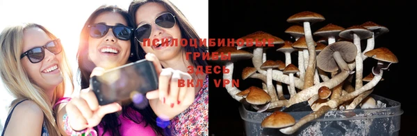 СК Новый Уренгой