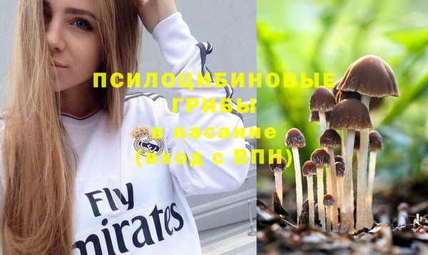 мдпв Нягань