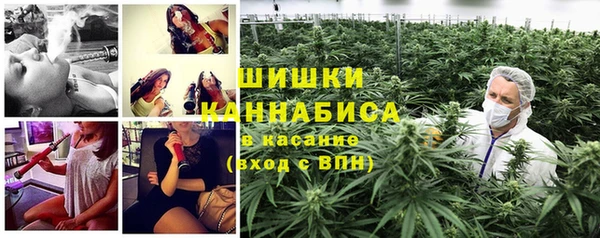 ГАЛЛЮЦИНОГЕННЫЕ ГРИБЫ Долгопрудный