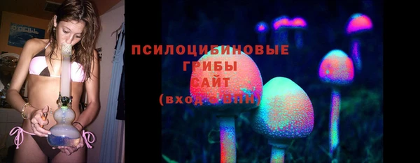 индика Нязепетровск
