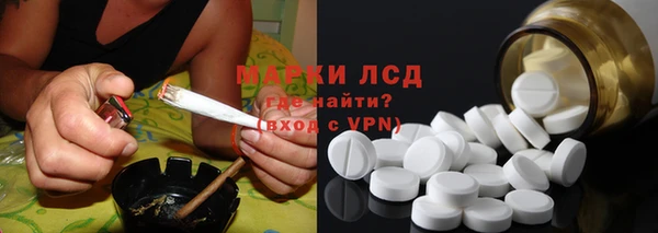 прущие грибы Орехово-Зуево