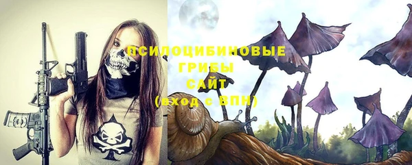 таблы Новокубанск