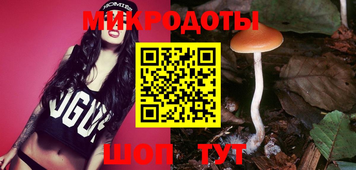 Холмск  Псилоцибиновые грибы MAGIC MUSHROOMS  Галлюциногенные грибы Psilocybine cubensis  Вход с VPN 